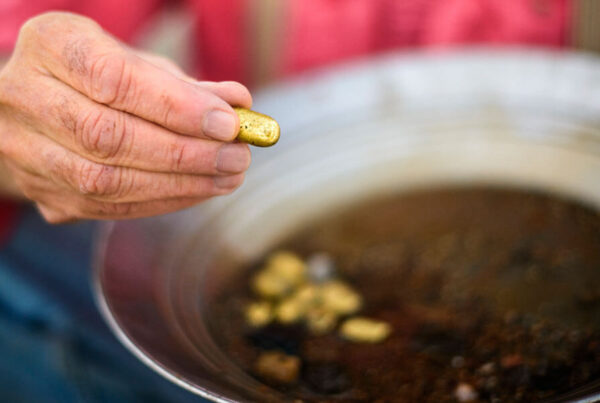 Ddreamer Jewelry Gold NuggetsUnlock the Secrets of Metals: The Ultimate GuideDdreamer Jewelrythe Secrets of MetalsUnlock the Secrets of Metals: The Ultimate Guide